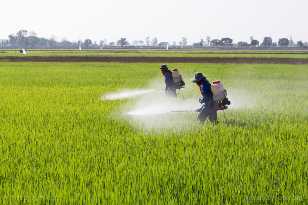 أسعار مبيدات حشائش الأرز 2023
