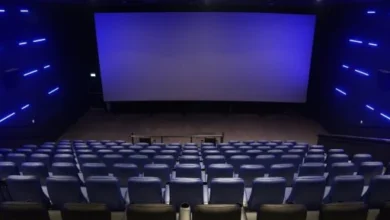 أسعار تذاكر السينما في الإسكندرية 2024
