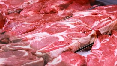 أسعار اللحوم المجمدة البرازيلي اليوم السبت 15-6-2024