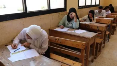 منهج أولى إعدادى دراسات الترم الأول pdf 2025