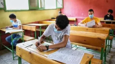 منهج الدراسات للصف الأول الإعدادي 2024 2025 الترم الأول