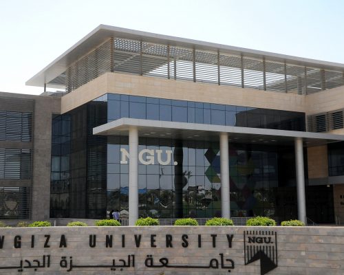 مصاريف new giza university كل الكليات