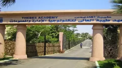 مصاريف معهد طيبة العالي نظم معلومات طريق سقارة بالهرم 2025