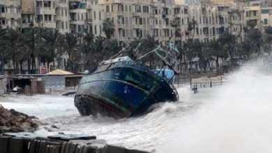 مواعيد النوات في الإسكندرية 2024