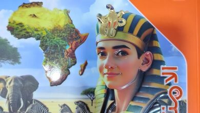 كتاب الامتحان دراسات تانية إعدادي ترم أول pdf 2024