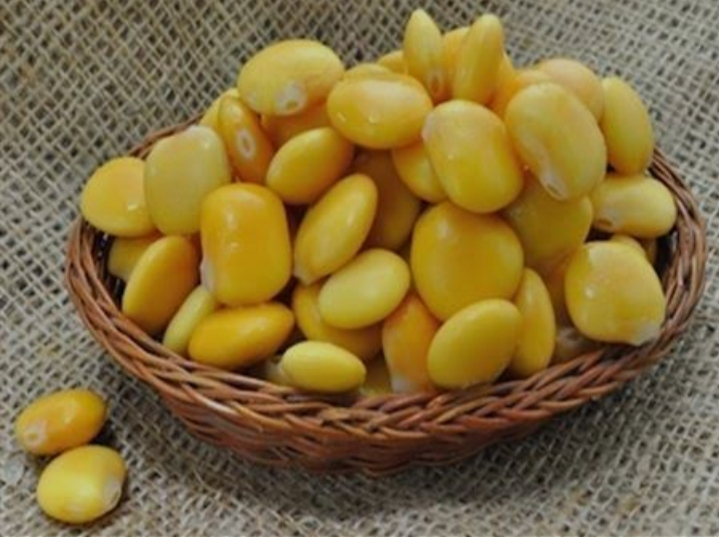 الترمس
