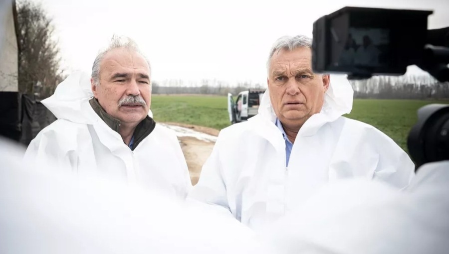 المجر تكثف جهودها لاحتواء مرض الحمى القلاعية