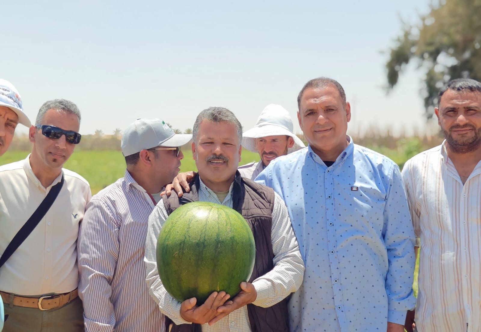 د سليمان عمران أستاذ زراعة البطيخ في معهد بحوث البساتين