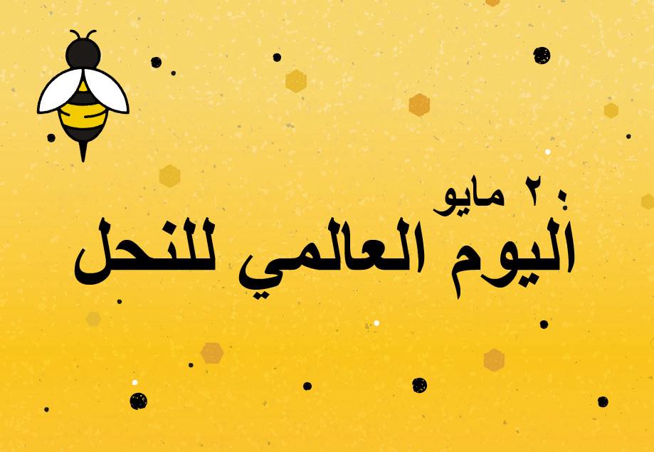 اليوم العالمي للنحل