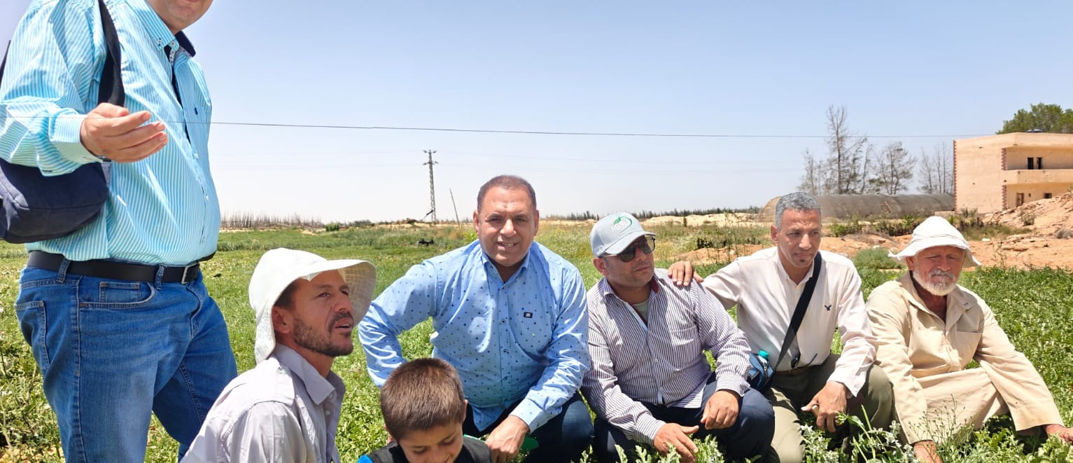 د سليمان عمران أستاذ زراعة البطيخ في معهد بحوث البساتين
