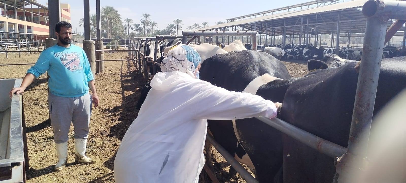 التحصينات الوقائية بمختلف محافظات الجمهورية