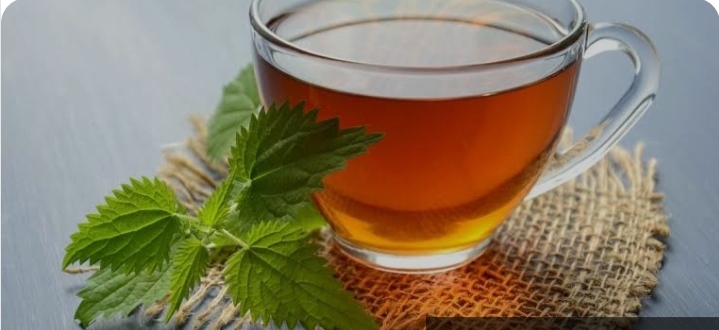 شاي النعناع