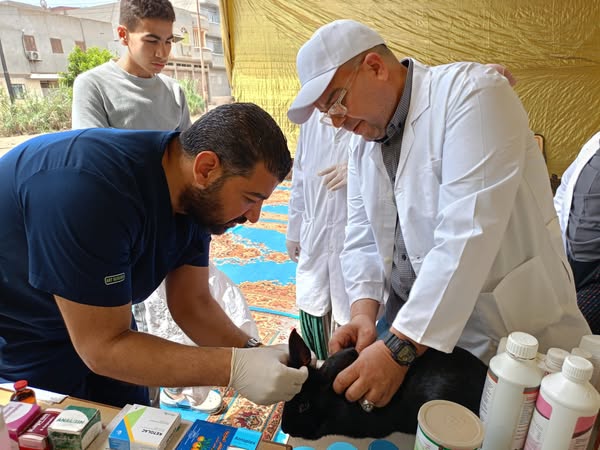 قوافل بيطرية لتحصين الماشية