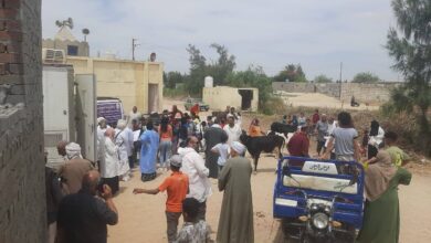 قوافل بيطرية لتحصين الماشية