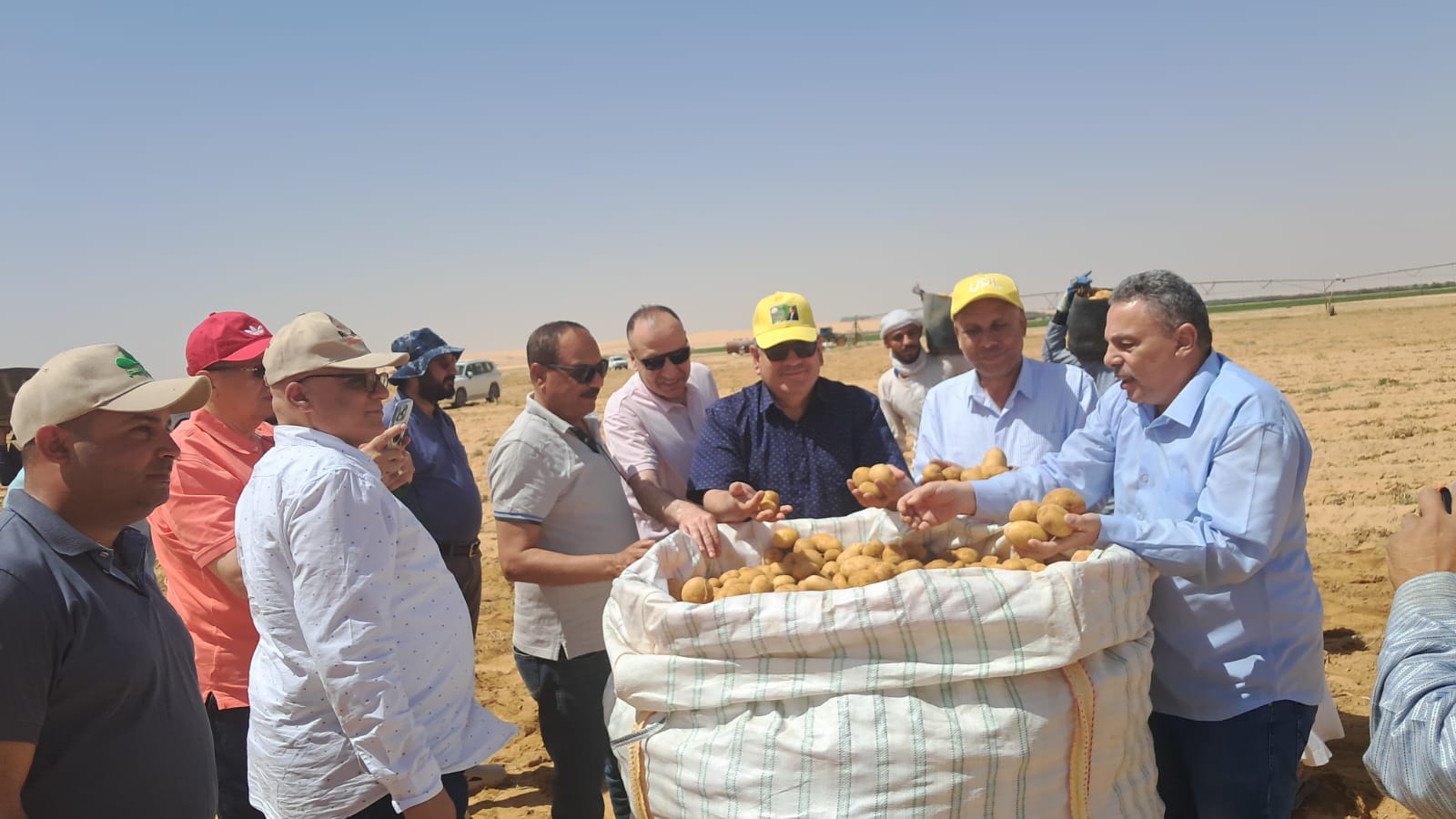 جولة وفد مركز البحوث الزراعية في مزرعة إنتاج تقاوي البطاطس