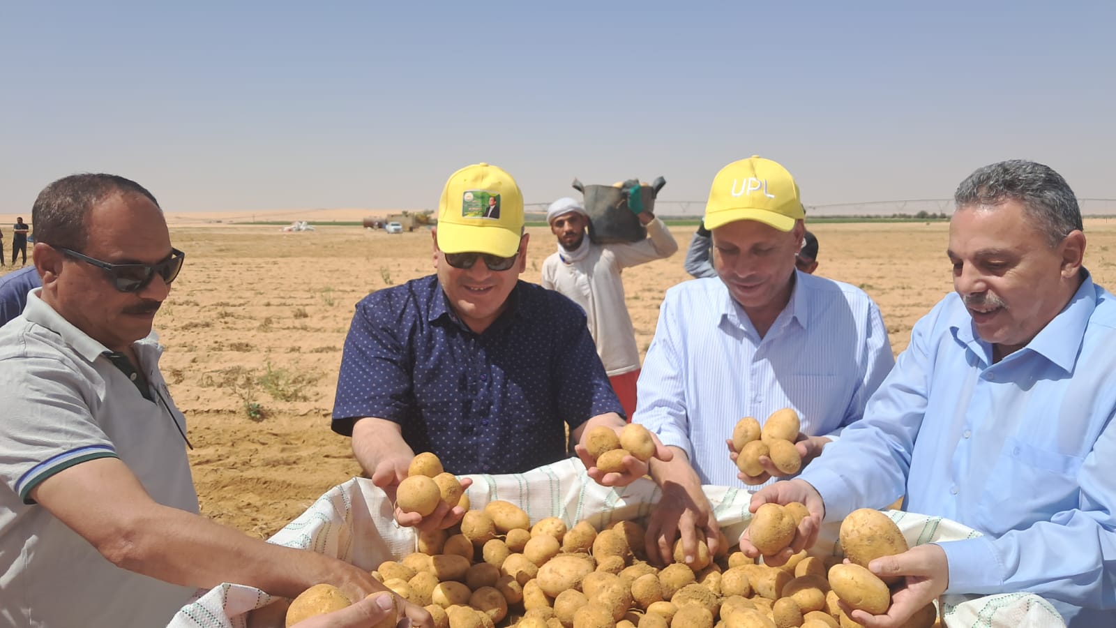 جولة وفد مركز البحوث الزراعية في مزرعة إنتاج تقاوي البطاطس