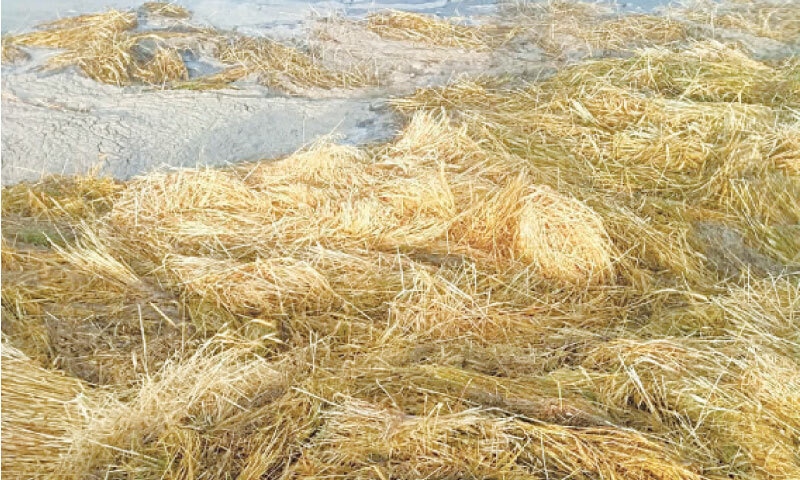 عاصفة مدمرة