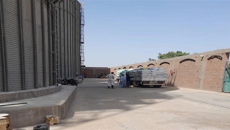 توريد القمح