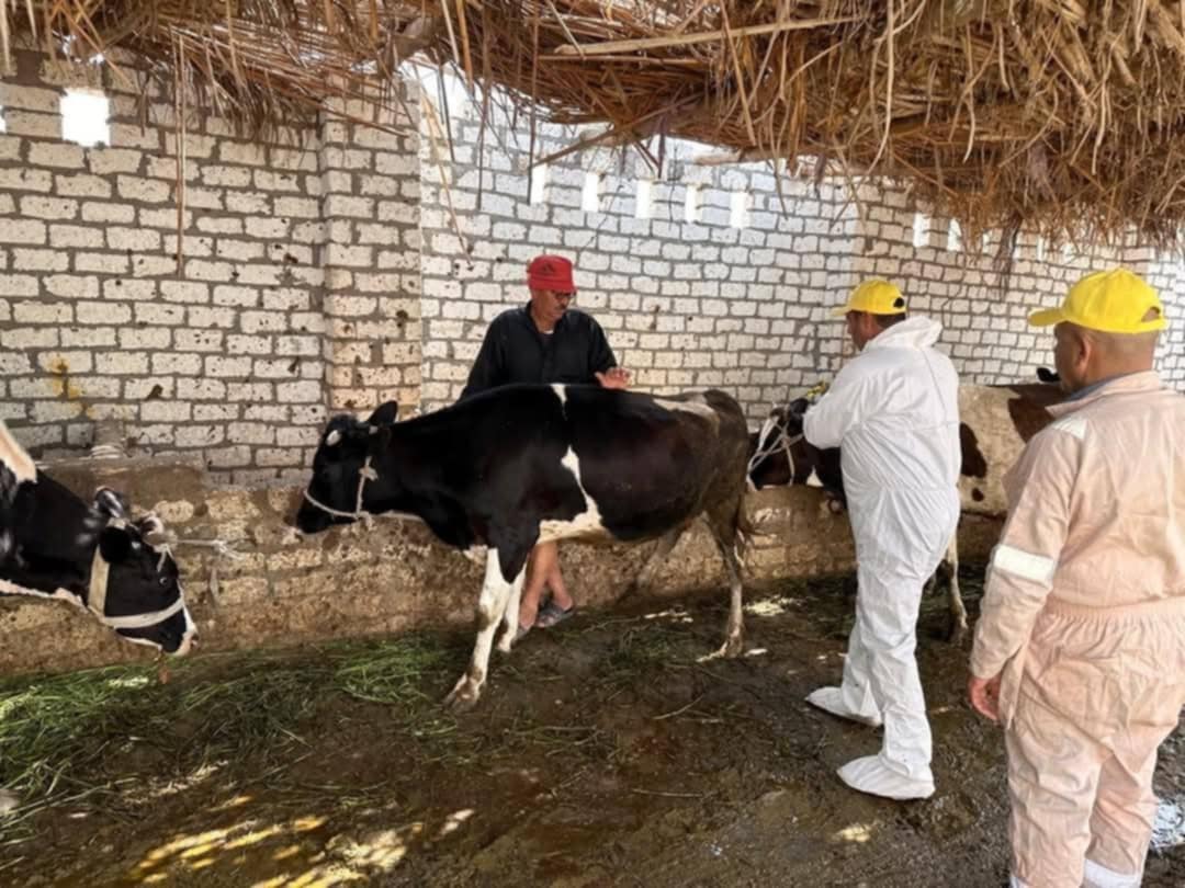 الخدمات البيطرية