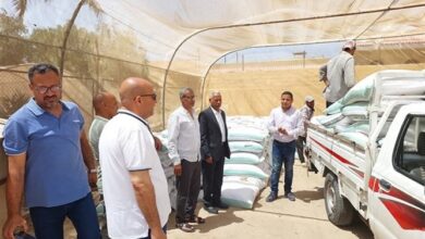 توزيع الأعلاف في جنوب سيناء