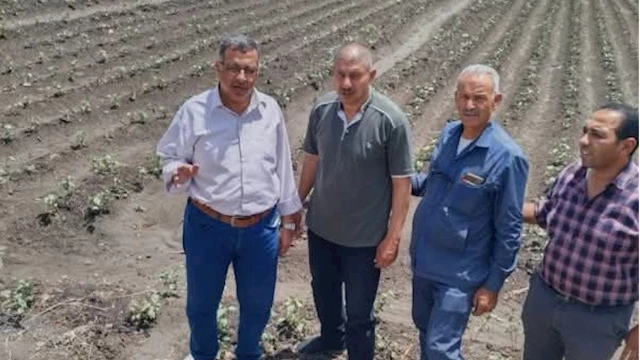 زراعة الشرقية