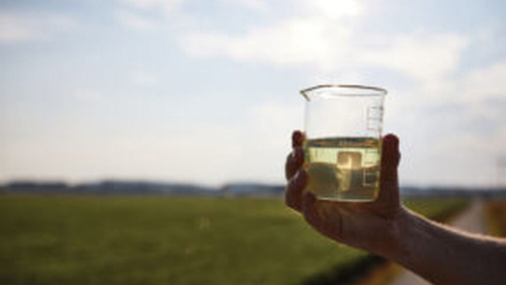 حظر زيت البذور