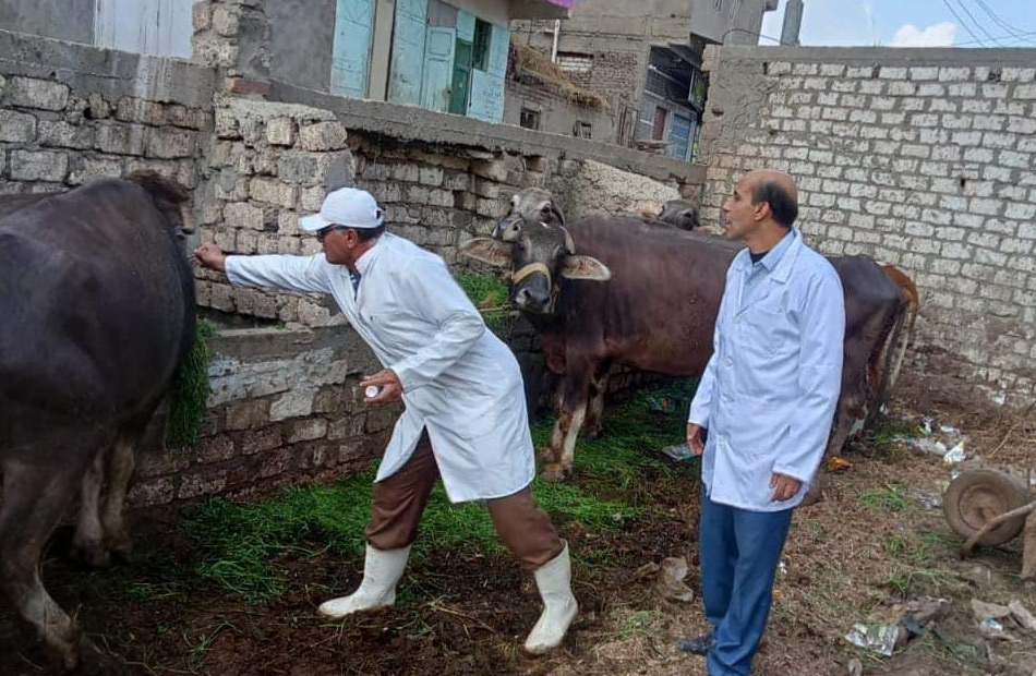 مديرية الطب البيطري بالبحيرة