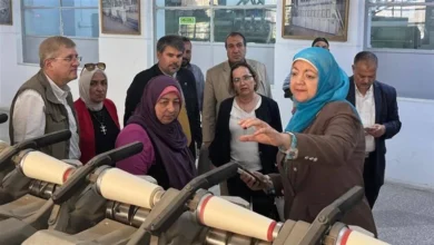 معهد بحوث القطن