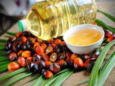 زيت نواة النخيل