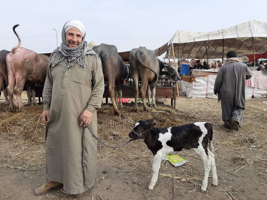 وزارة الزراعة