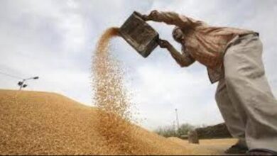 ولاية هاريانا