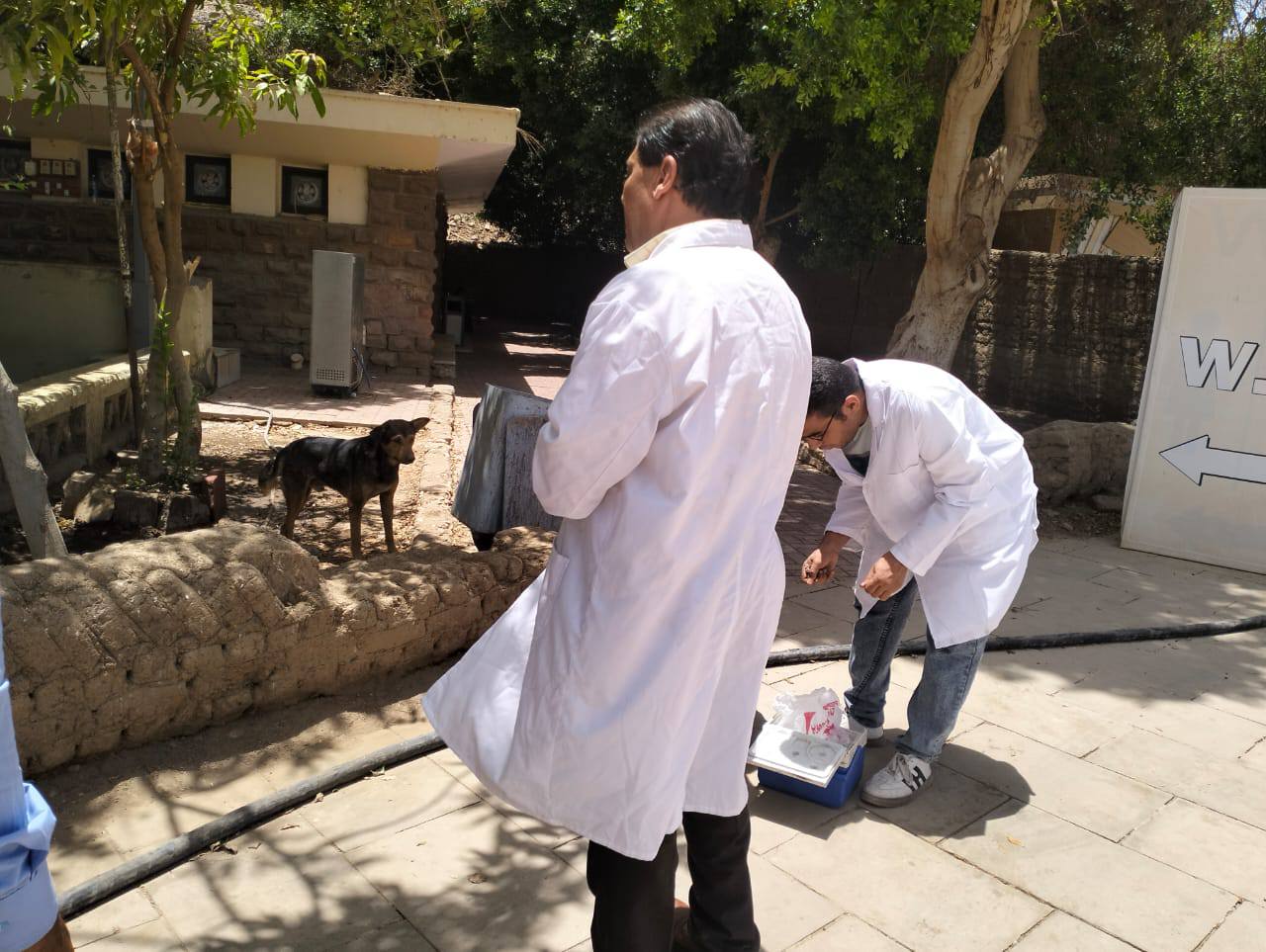 تحصين الكلاب