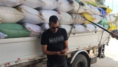 توريد القمح