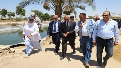 المركز القومي للبحوث