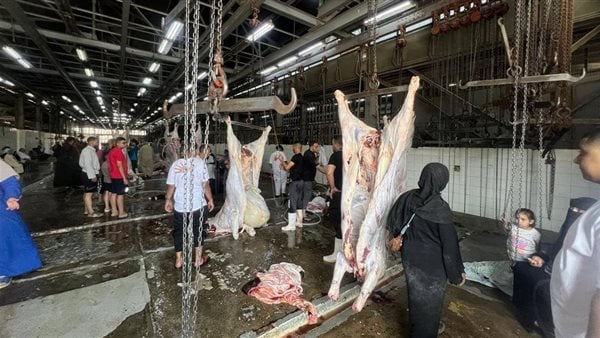 المجازر الحكومية خلال عيد الأضحى