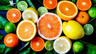 وزارة الزراعة تصدر توصيات فنية لمزارعي الموالح