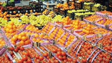 صادرات مصر من الموالح تتصدر بـ1.8 مليون طن