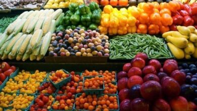 إنجازات غير مسبوقة في الزراعة المصرية خلال عهد الرئيس السيسي.