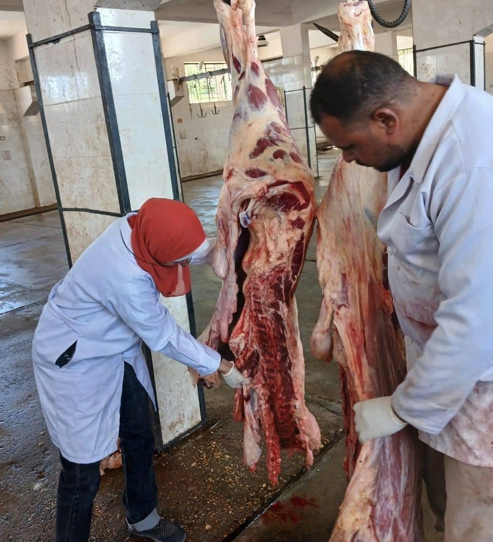 المجازر الحكومية