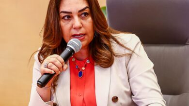 د منال عوض وزيرة التنمية المحلية