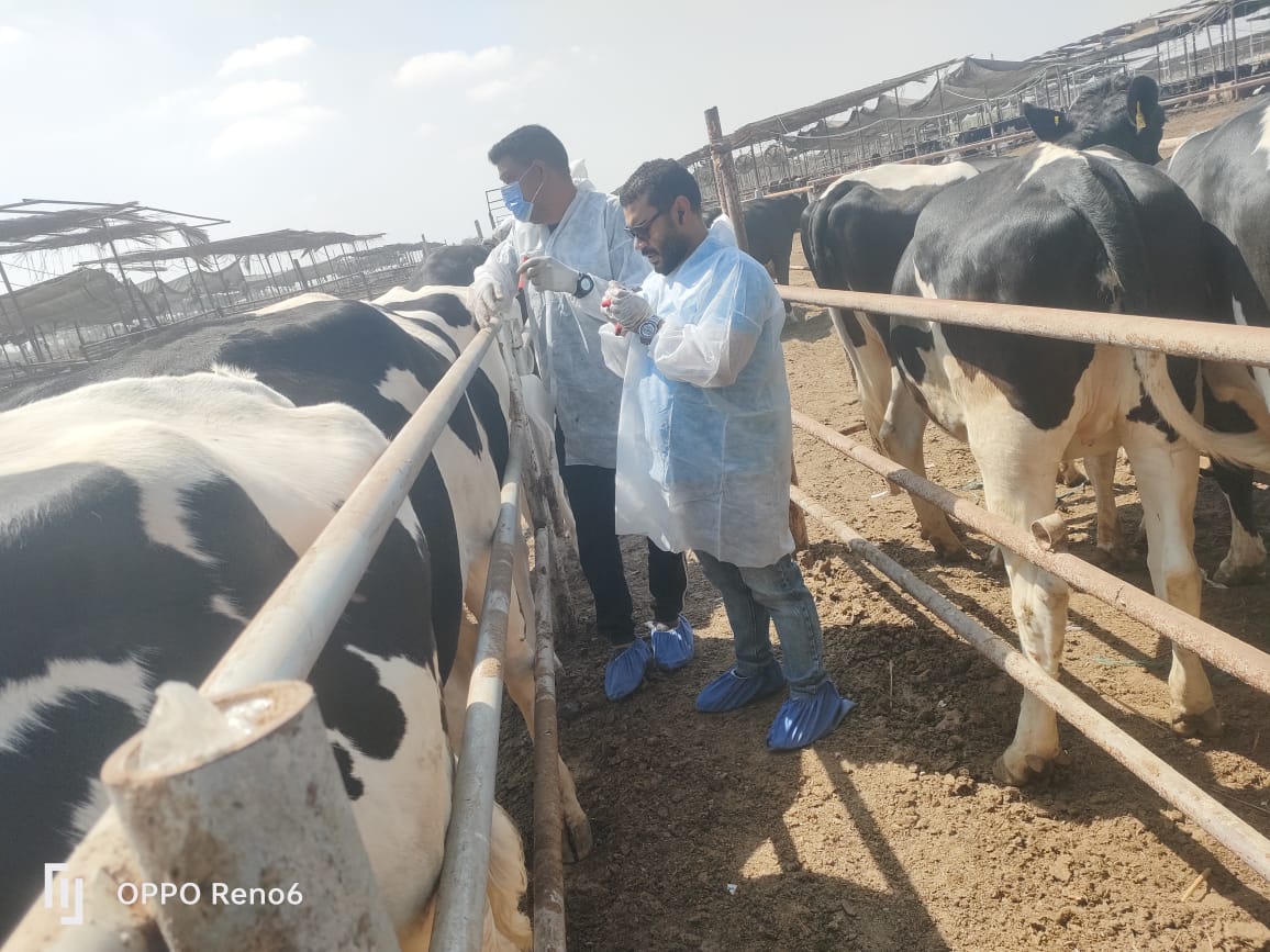حملات بيطرية
