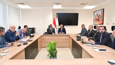 وزير الري يلتقي محافظ الجيزة