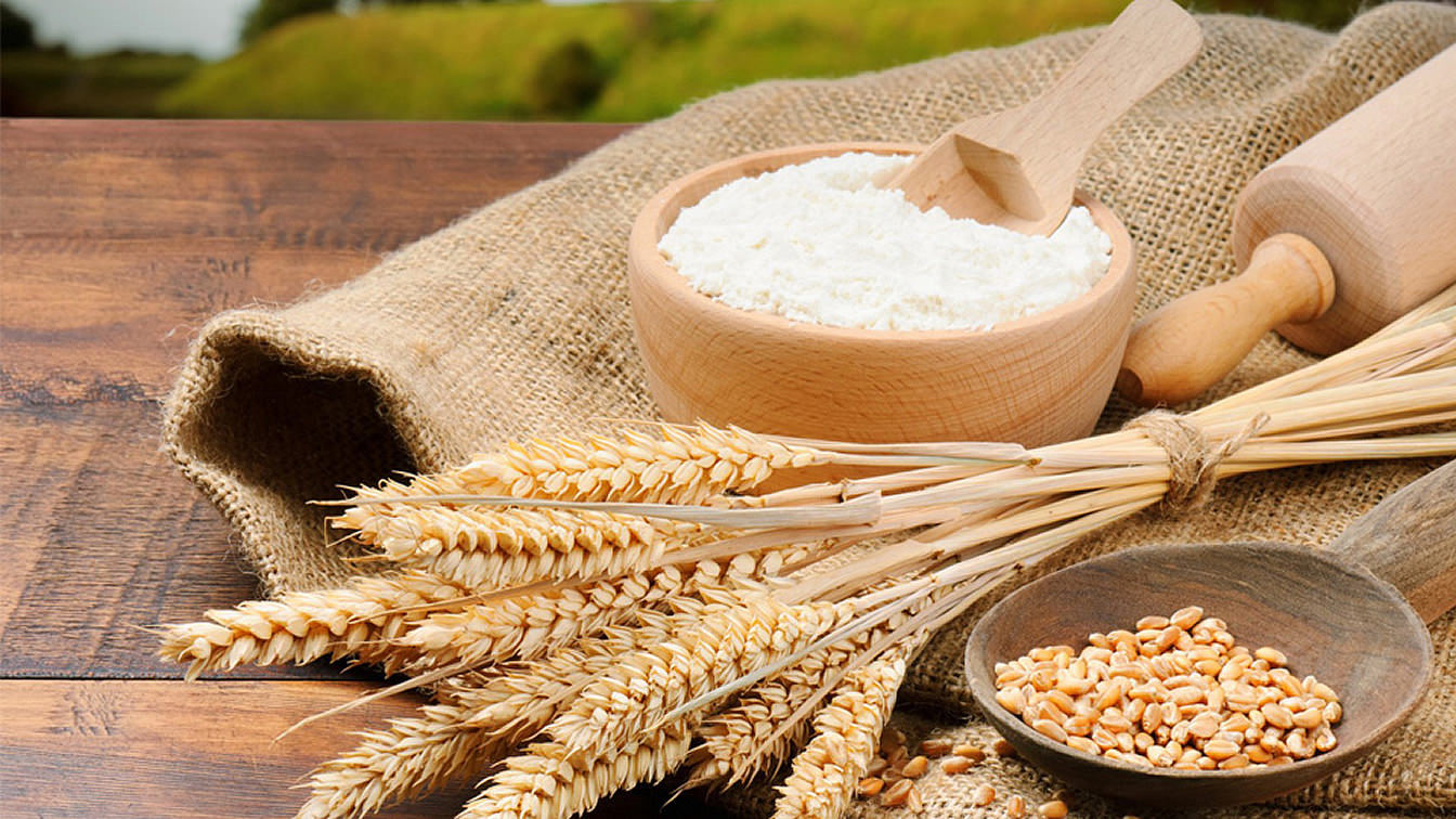 وزارة الزراعة الأوكرانية تعلن عن انخفاض صادرات الحبوب
