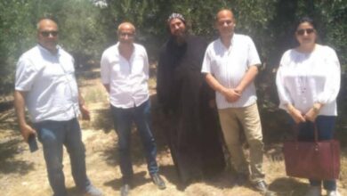 زراعة الإسكندرية تتفقد زراعات الزيتون والنخيل في منطقة أبو مينا الأثرية