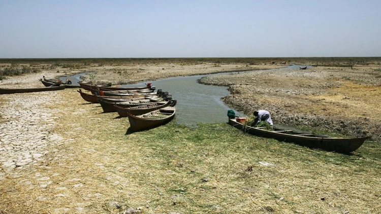 الزراعة النيابية