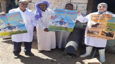 الزراعة: فحص 50 ألف رأس ماشية و53 ألف طائر في حملات التقصي الوبائي يونيو 2025