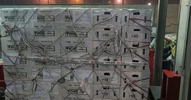 مصر تُصدّر أول شحنة تقاوي بطاطس ميني تيوبر إلى أوزبكستان بالتكنولوجيا الحديثة