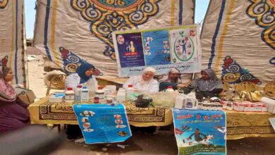 قافلة بيطرية مجانية في مشتول السوق بالشرقية لعلاج 200 رأس ماشية ضمن «حياة كريمة»