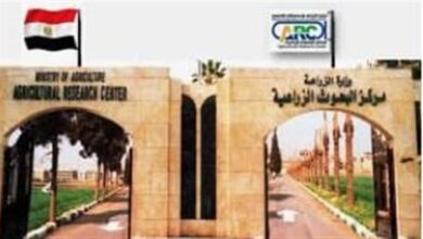 معهد بحوث الإرشاد الزراعي