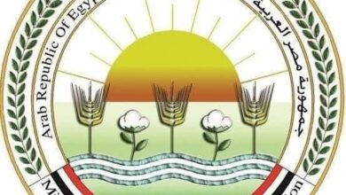 وزارة الزراعة تنفذ 286 ندوة و5300 معالجة شكوى وتطهير أكثر من 49 ألف كم من المساقي والمصارف